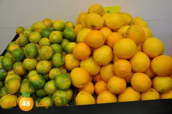 souq gan temar (24).JPG